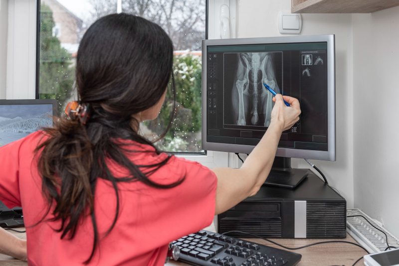 Veterinarian looking at X-ray.