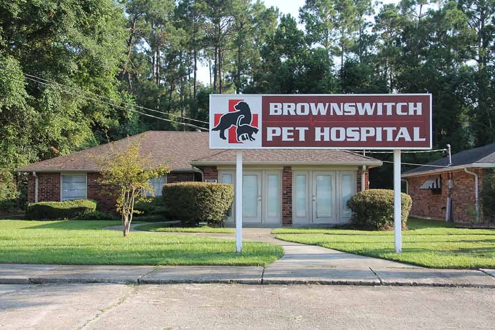 Brownswitch hospital Brownswitch hospital